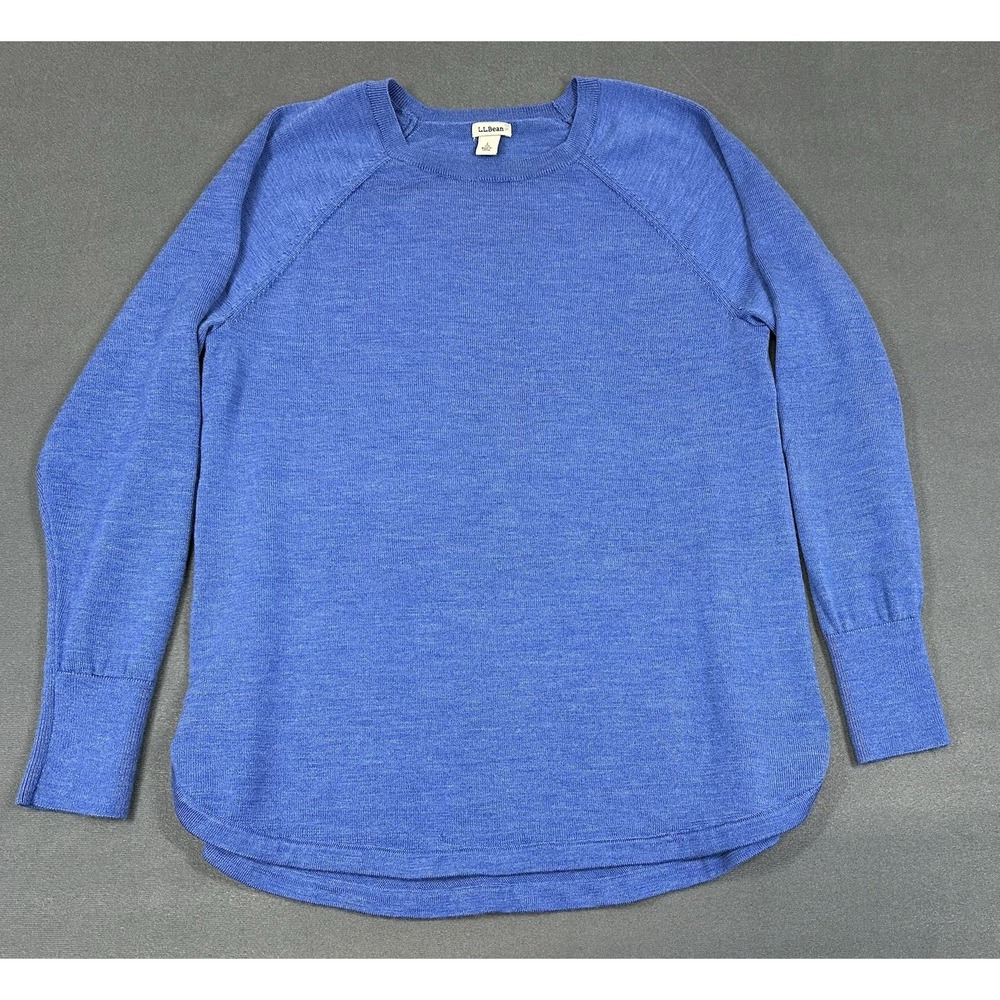 LL Bean Sweater Mens Large Blue 100% Merino Wool Crewneck Long Sleeve Pullover